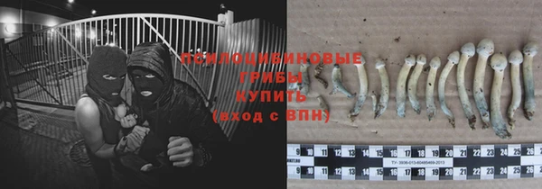 круглые Алексин