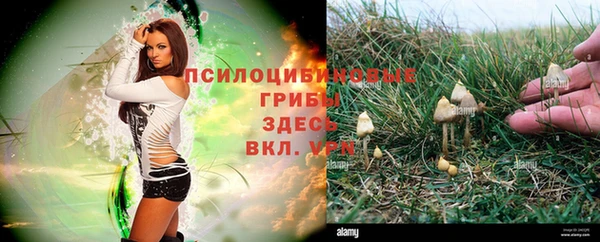 круглые Алексин